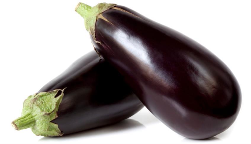 Melanzane ripiene, alla parmigiana, grigliate, fritte servite come piatto unico, come contorno o condimento per la pasta o come ingrediente di insalatone a tutta salute a tutta golosità!  Melanzane ripiene, alla parmigiana, grigliate, fritte servite come piatto unico, come contorno o condimento per la pasta o come ingrediente di insalatone a tutta salute a tutta golosità!